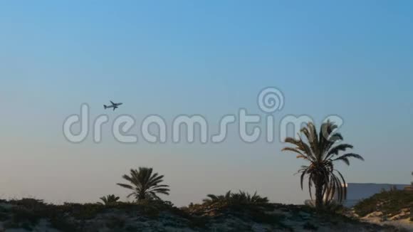 一架飞机在沙滩上用棕榈树飞过蓝天视频的预览图