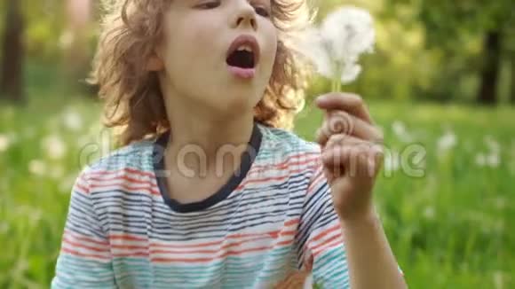 一个十几岁的男孩在夏天的空地上休息他正在吹蒲公英花籽被风吹走视频的预览图