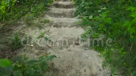 镜头沿着草地和灌木丛中挖掘的台阶向上移动视频的预览图