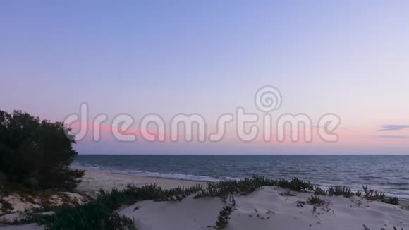 海滩上的沙滩和棕榈树空荡平静的海景拍着照片视频的预览图
