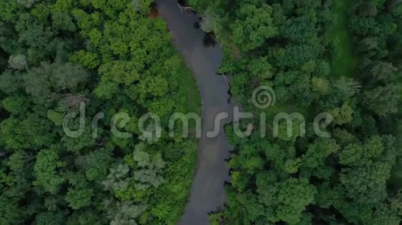 从空中俯瞰美丽的风景河流在绿色的落叶森林中流动视频的预览图