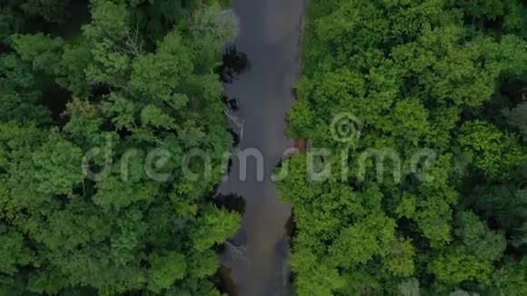 从空中俯瞰美丽的风景河流在绿色的落叶森林中流动视频的预览图