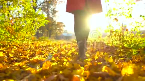 一个穿着黑色靴子的女人的腿穿过秋天的森林黄叶飞来飞去视频的预览图