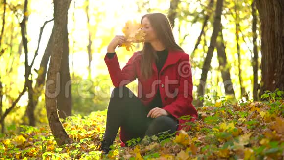 美丽的女孩坐在秋天的森林里收集一束黄色的枫叶视频的预览图