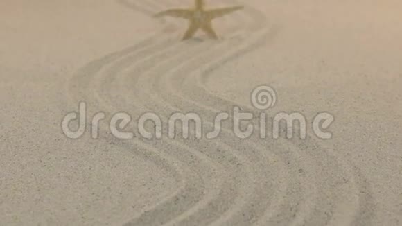 靠近站在沙质线上的黄色海星向地平线飞去视频的预览图