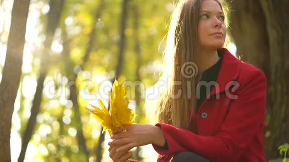 美丽的女孩坐在秋天的森林里收集一束黄色的枫叶视频的预览图