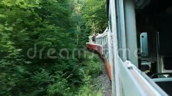 在狭窄的轨距铁路上的森林中旅行夏天从敞开的车窗看到汽车视频的预览图