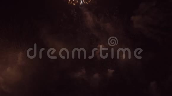 在黑天庆祝活动背景下的新年彩焰视频的预览图