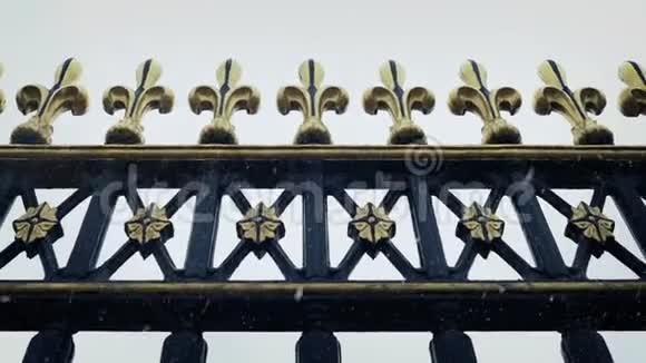 飘雪的羽状金属栏杆视频的预览图