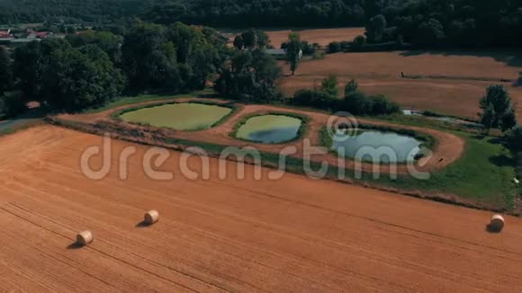 鸟瞰农作物小麦或黑麦田与干草草捆三个小湖泊和河流收获农业视频的预览图