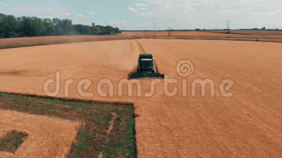 鸟瞰结合收割机收集小麦在黄色麦田收获粮田作物季节4K视频的预览图