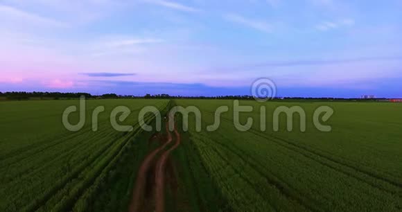 年轻夫妇ATV在乡村公路上行驶有小麦的农村田地俄罗斯克拉斯诺达尔四旋翼拍摄视频的预览图