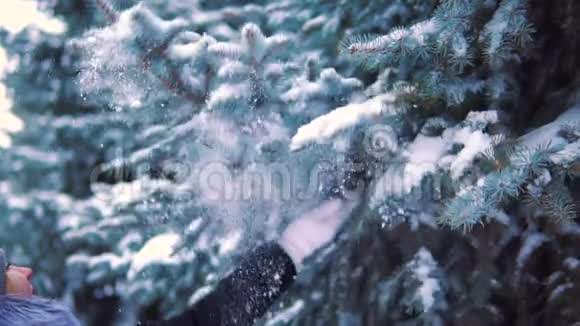 慢动作女孩在冬天的公园里碰到了一根雪树枝雪慢慢地飘落下来视频的预览图