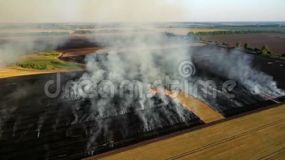 从无人机农民燃烧干草的空中视野野外鸟瞰火灾秋天田野上的火视频的预览图