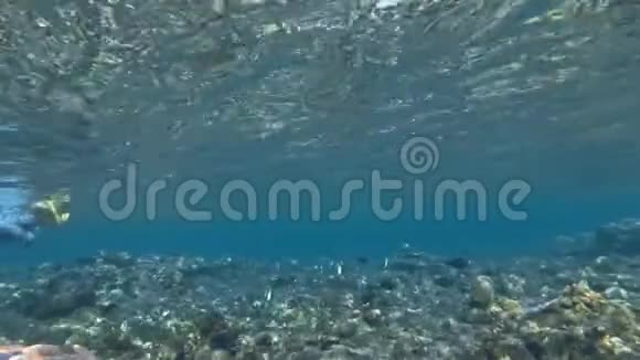 浮潜儿童与美丽的五颜六色的鱼在清澈的蓝色海水中潜水视频的预览图