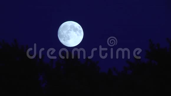 满月在蓝天上的运动在树的轮廓上视频的预览图