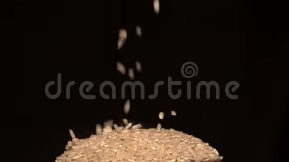 黑背景下的干燥乔木稻视频的预览图