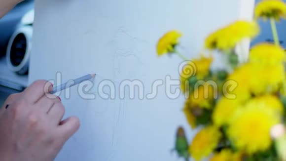 勾勒出一束黄色蒲公英的铅笔素描从大自然中汲取绘画的创作过程视频的预览图