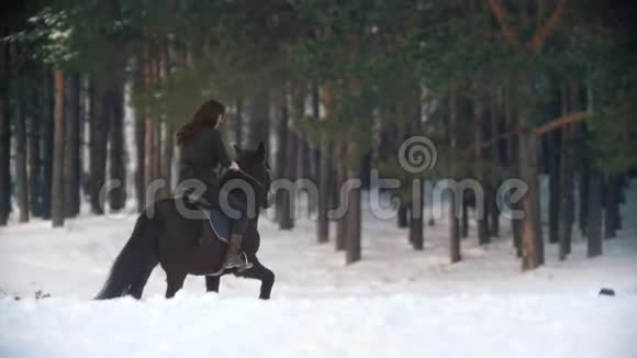 一个年轻的女人骑着一匹黑色的马走过雪林深处的漂流视频的预览图