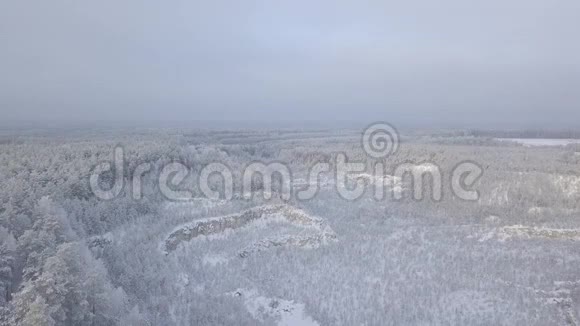 从鸟瞰雪盖采石场和森林景观视频的预览图