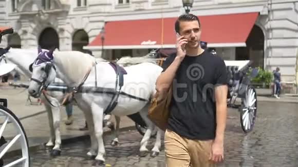游客在维也纳漫步看着马车里漂亮的马视频的预览图