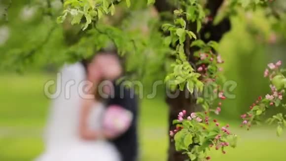 春天婚礼自然公园视频的预览图