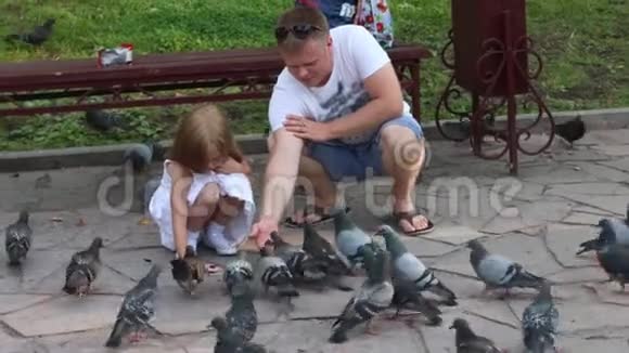 快乐的爸爸和小女儿在夏天公园喂鸽子视频的预览图