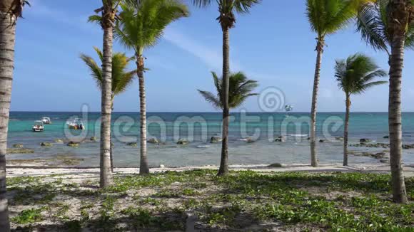 透过椰子树观赏热带海滩游客乘坐伞降船青绿色的水视频的预览图