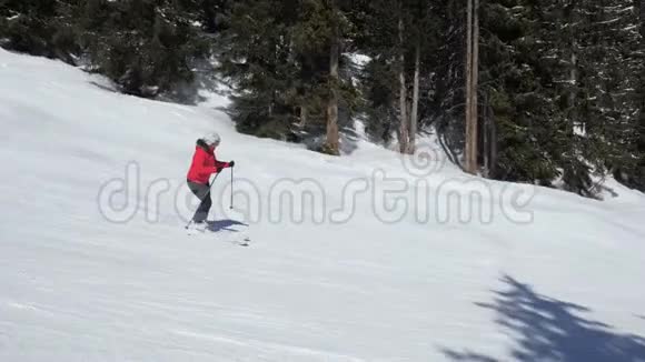 在松林间滑雪坡上一名滑雪女滑雪者视频的预览图