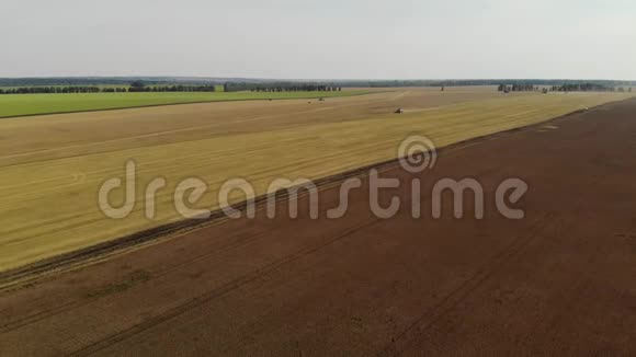 收获期成熟麦田的空中摄影视频的预览图