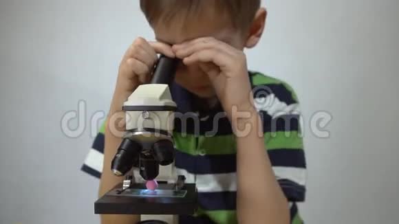 一个穿条纹T恤的男孩在显微镜下检查植物的部分视频的预览图