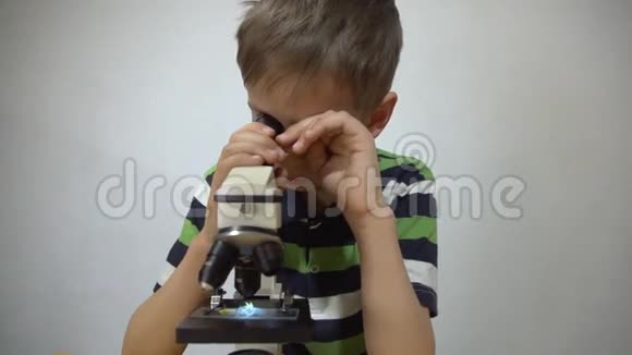一个穿条纹T恤的男孩在显微镜下检查植物的部分视频的预览图