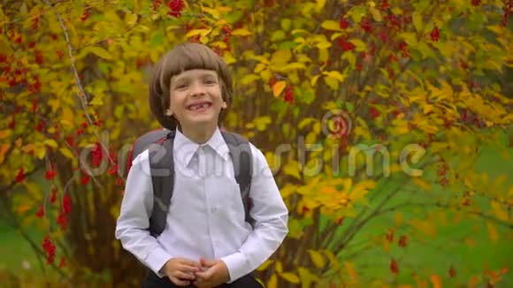 一年级学生玩得开心带着背包在户外对着镜头笑的可爱男孩的画像视频的预览图