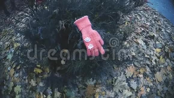 在公园的灌木丛上发现的儿童手套证实绑架小女孩的证据视频的预览图