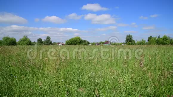 俄罗斯美丽的草地地平线上的农村房屋视频的预览图