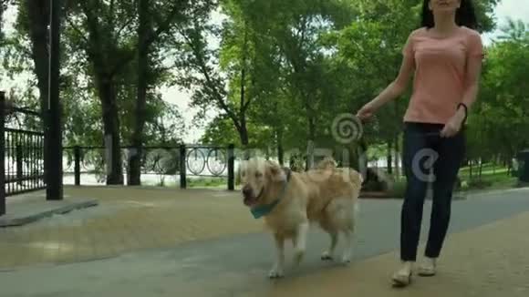 热情的年轻女子和她的狗一起散步视频的预览图