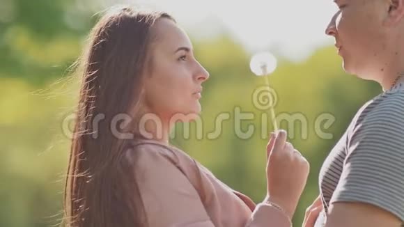 天生一对幸福夫妻恋爱中的女孩正在吹蒲公英在阳光下拥抱视频的预览图