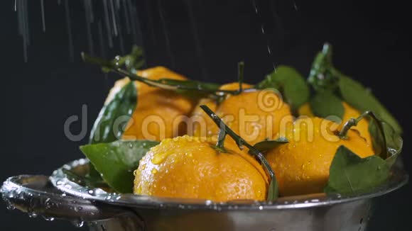 在黑色背景上用水滴清洗橙色橘子动作缓慢视频的预览图