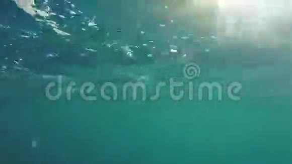 海水下阳光透过海水照耀视频的预览图