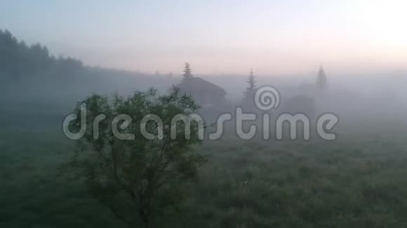 被遗弃的房子和雾中的树视频的预览图