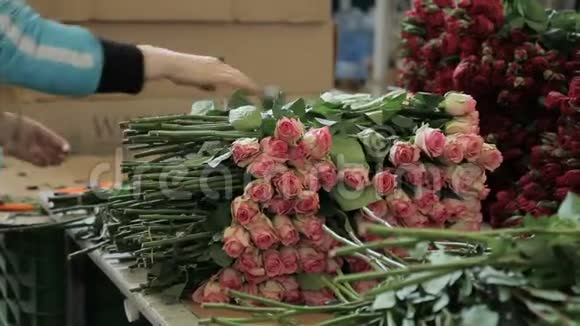 年轻女子在花厂用新鲜玫瑰工作视频的预览图