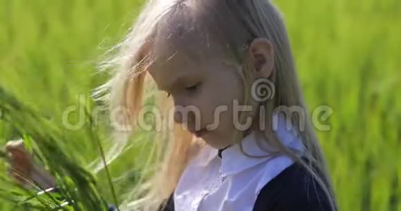 麦田里一个金发碧眼的小女孩做了一束绿色的麦秆视频的预览图