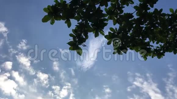 飞机逆云飞行视频的预览图