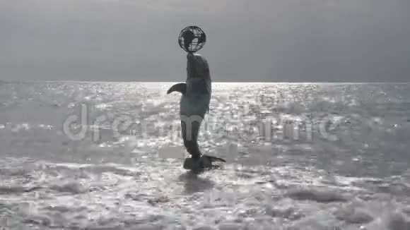 一个海豚纪念碑它的鼻子上有一个球体背景是阳光反射在海浪表面视频的预览图