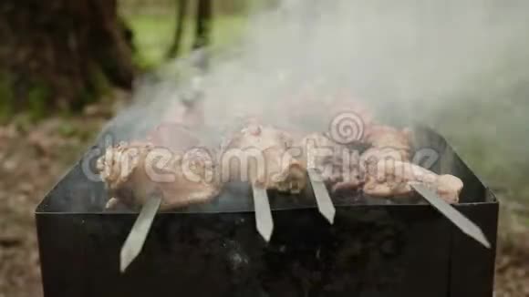 用白色手套将半熟的鸡肉卷在曼格尔的肉串上闭上双手晚饭时间到了野餐视频的预览图