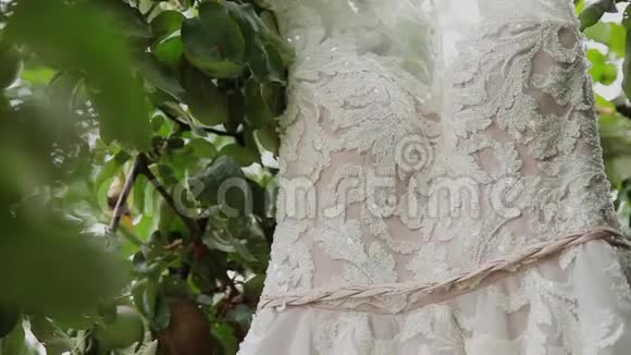 白色婚纱挂在一棵绿树上白色伴娘礼服挂在树枝上视频的预览图