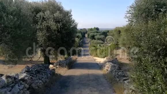 山谷乡村公路意大利南部阿普利亚地区萨伦托伊特里亚视频的预览图