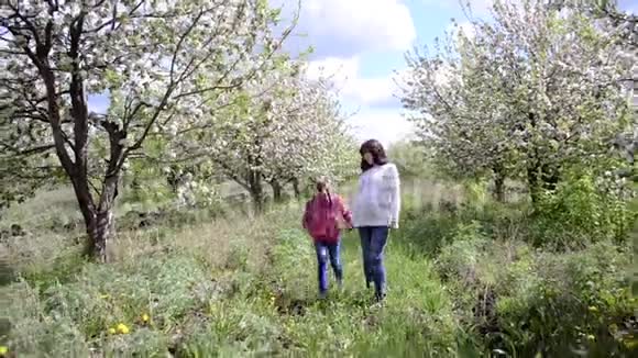 怀孕的妈妈牵着女儿手在盛开的春天公园里家庭漫步在鲜花盛开的苹果花园里视频的预览图