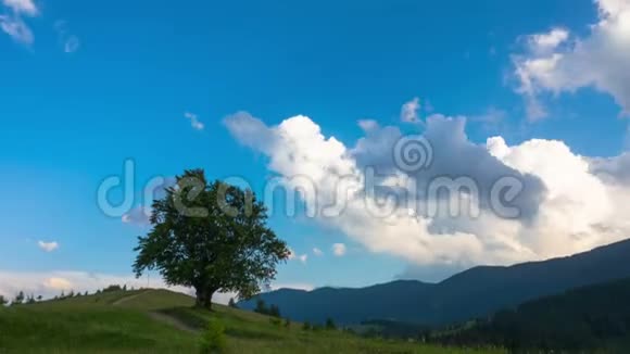 带有孤树和行尸走肉的山地景观视频的预览图