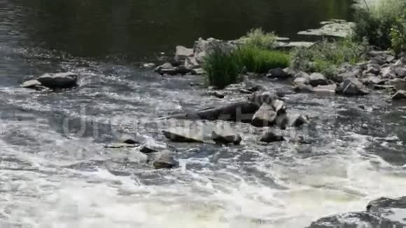 这条河从大坝上掉下来视频的预览图